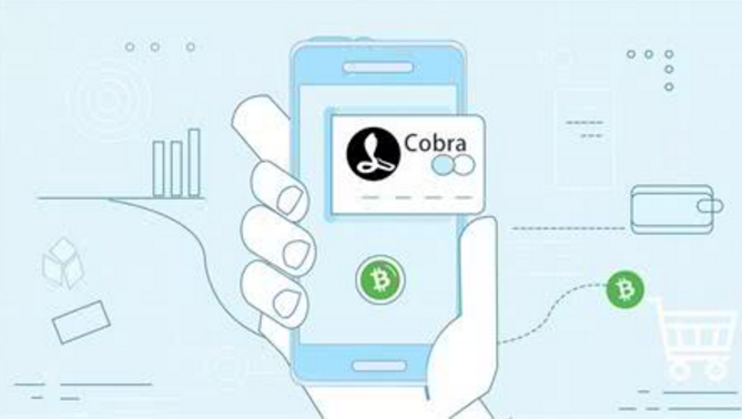 比特币官网管理员Cobra认可BCH支付属性