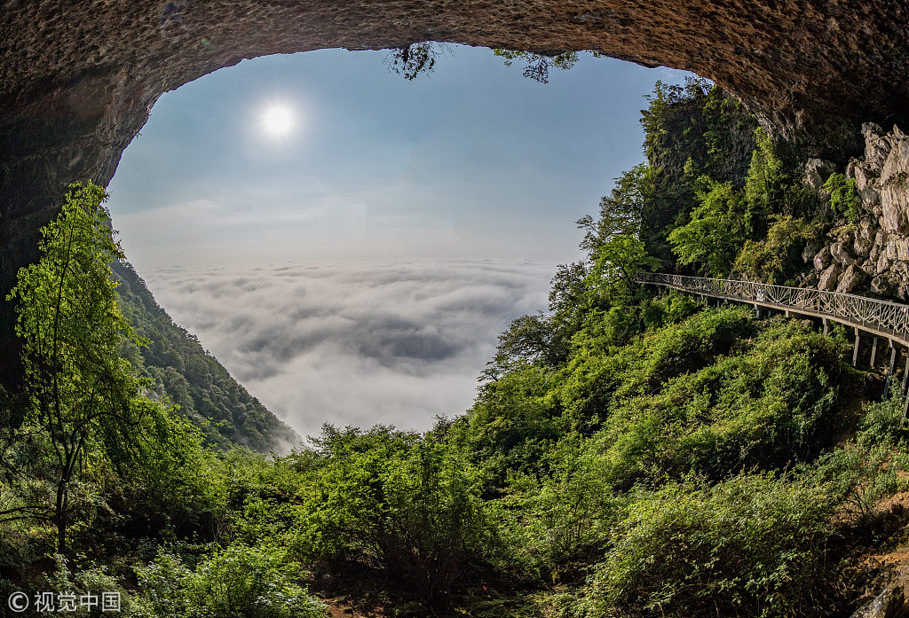 重庆金佛山(重庆金佛山一日游详细攻略)