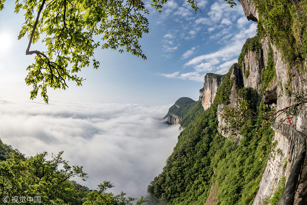 16 重庆:雨后金佛山云雾缭绕似画作