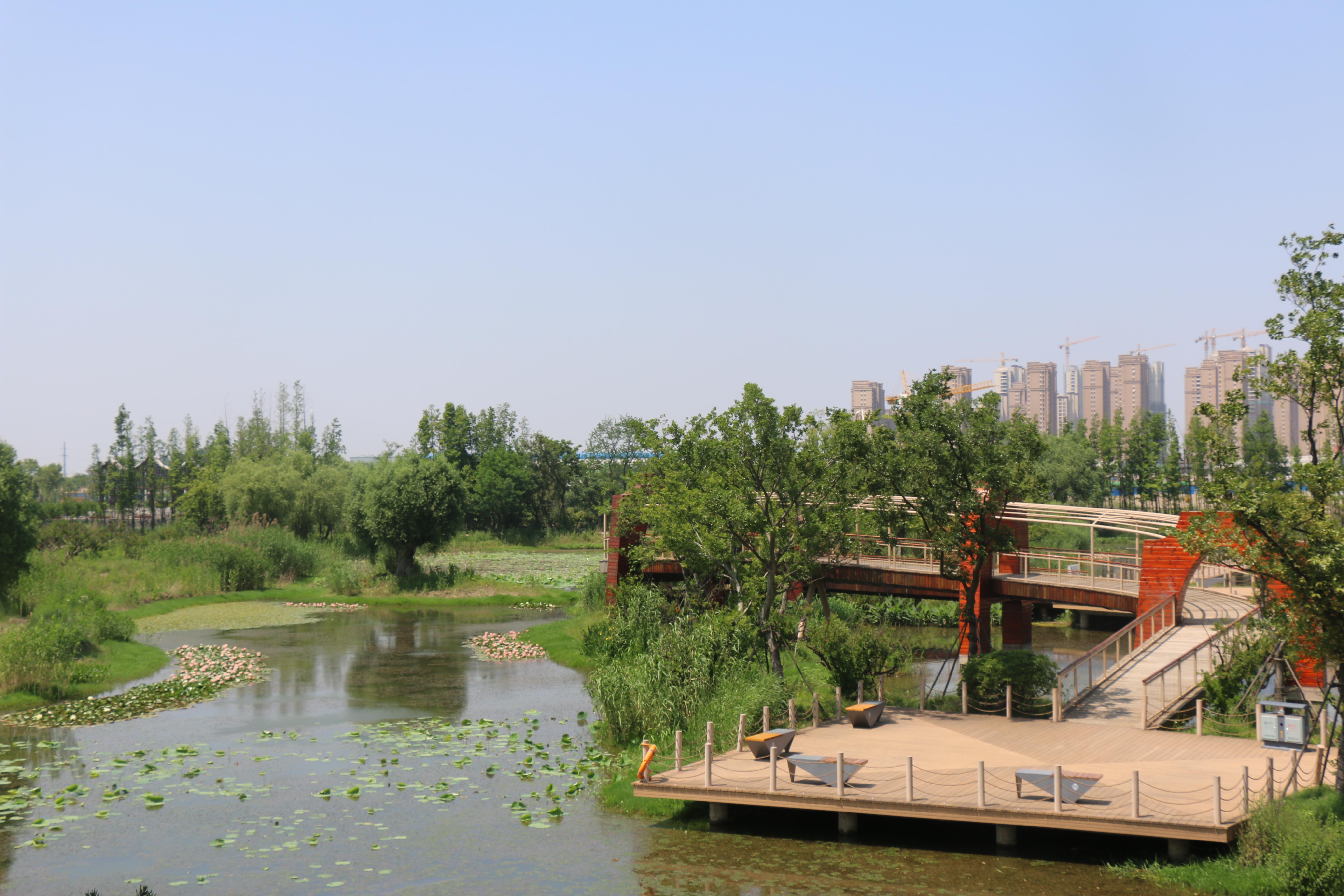 扬州三江湿地公园图片