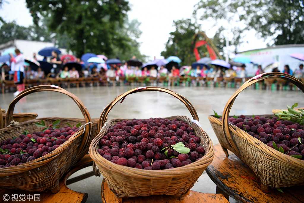 贵州黔东南苗寨趣味杨梅节迎四方客