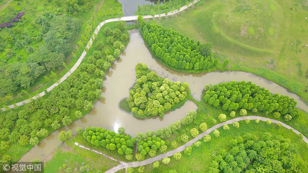 10 江苏南通:航拍夏日长青沙岛  绿意融融景色迷人