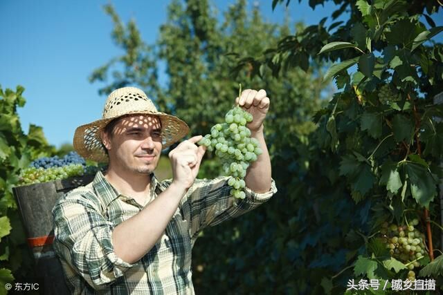 美国农民的农村日常生活与我们相比有啥不同