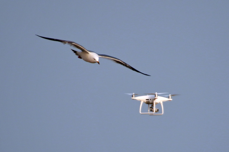 无人机,飞进美好生活