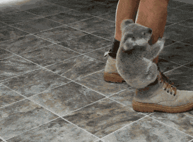 380_280gif 动态图 动图