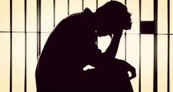 案发后，潘某峰、张某峰、陈某南三人归案。