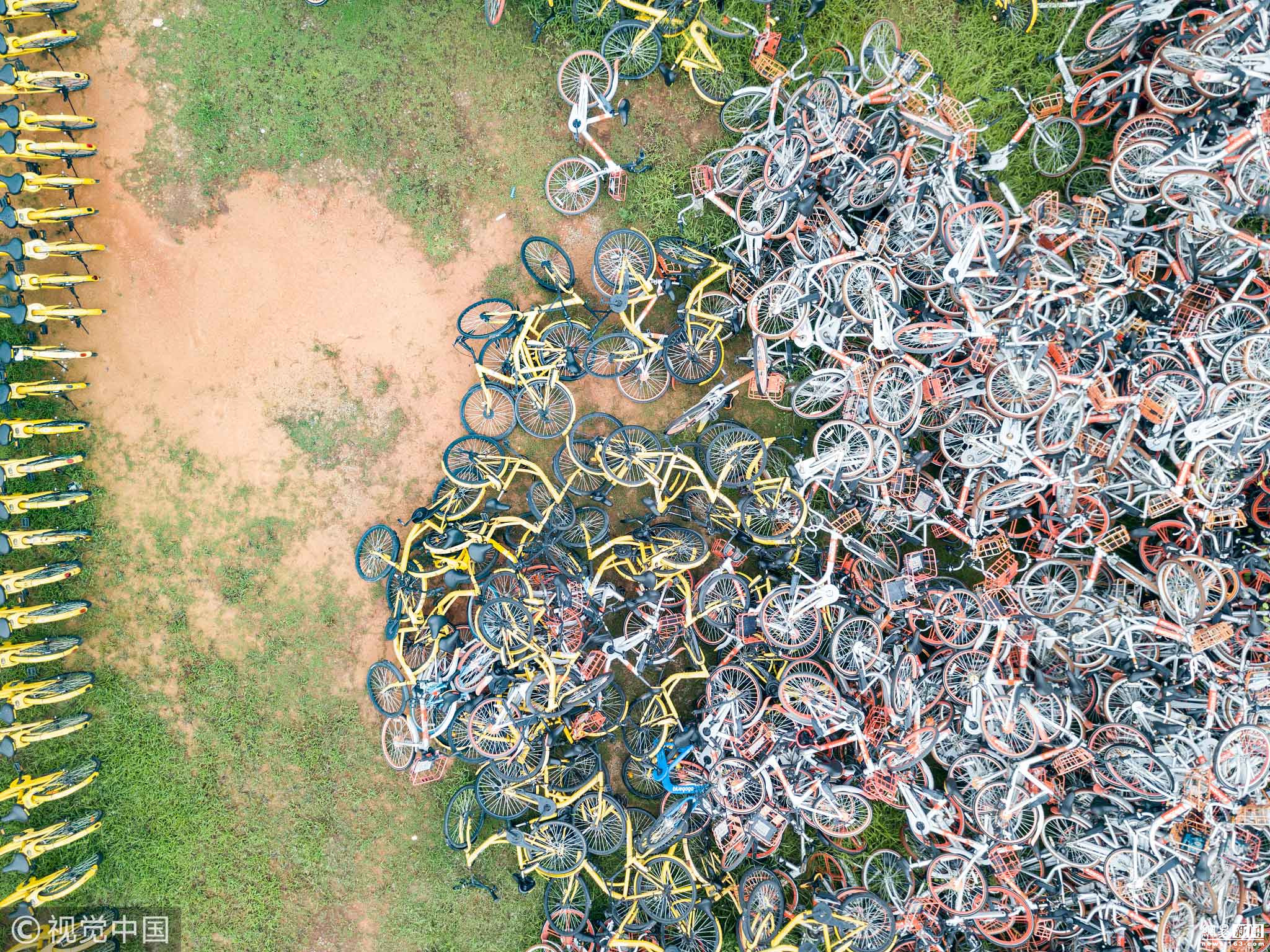 4 广州共享单车"坟场"雨后杂草丛生 场面壮观