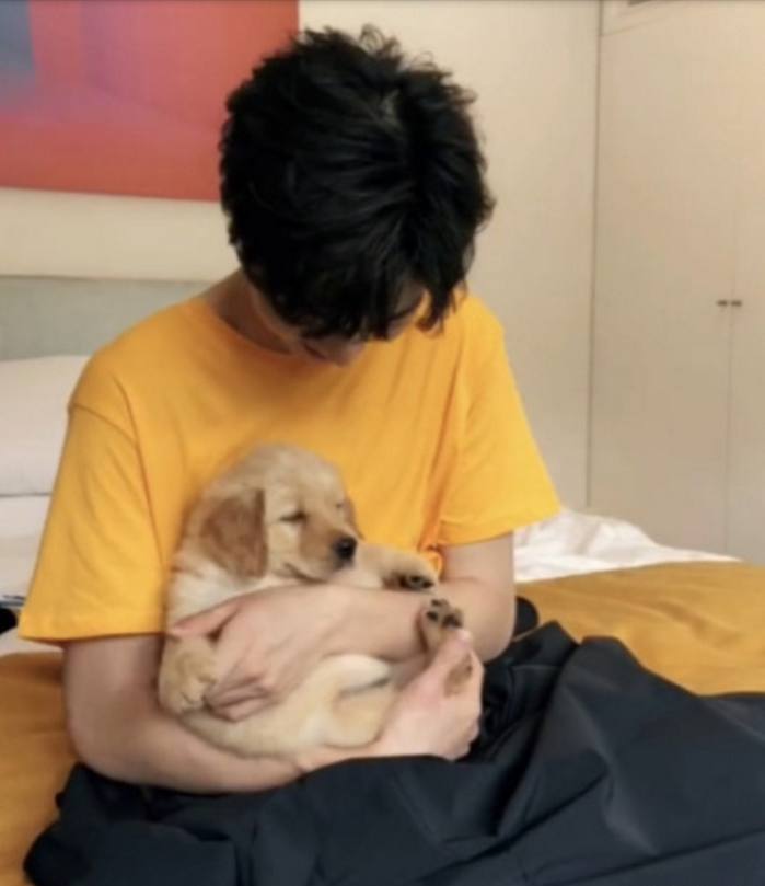 陈立农超级宠溺的眼神啊!!不仅黄宝可爱,你也很可爱啦!