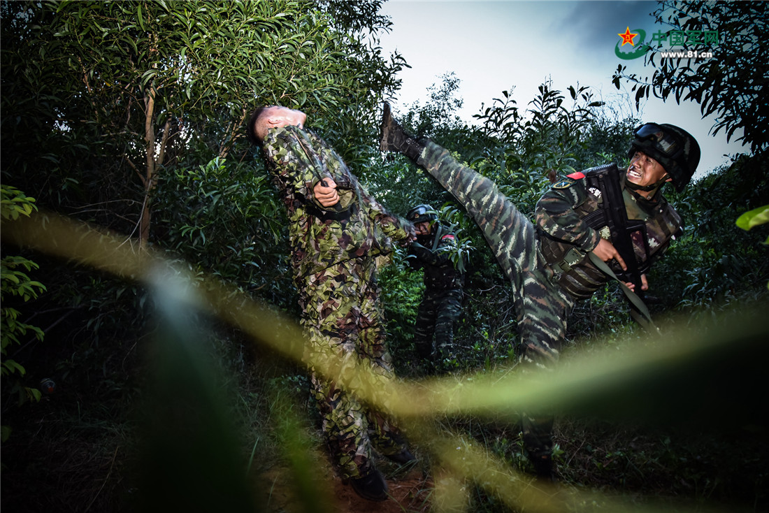 丛林搜索战斗中的特战队员   烈日下特战狙击手凯旋   装甲车掩护下的