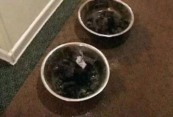 (网络图图文无关)