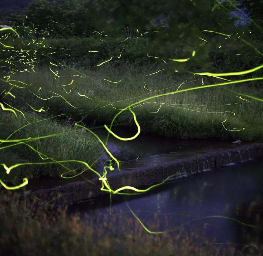 4.奈良县宇陀市