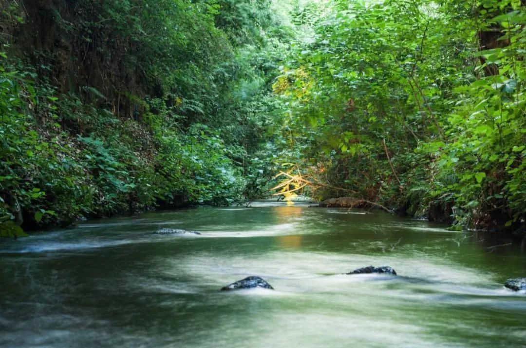 3.东京都久我山