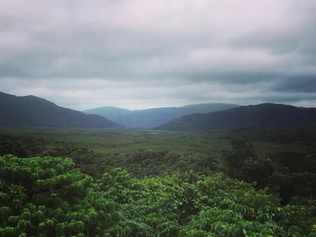 这个夏天，还没看萤火虫的，赶快走起啦~