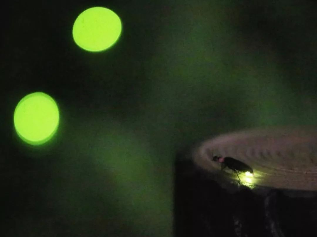 6.福冈县上毛町