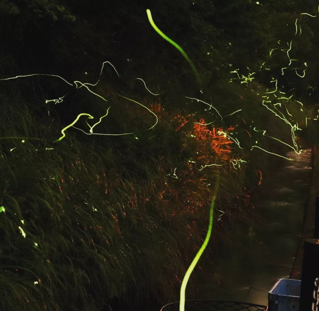 5.冲绳县西表岛