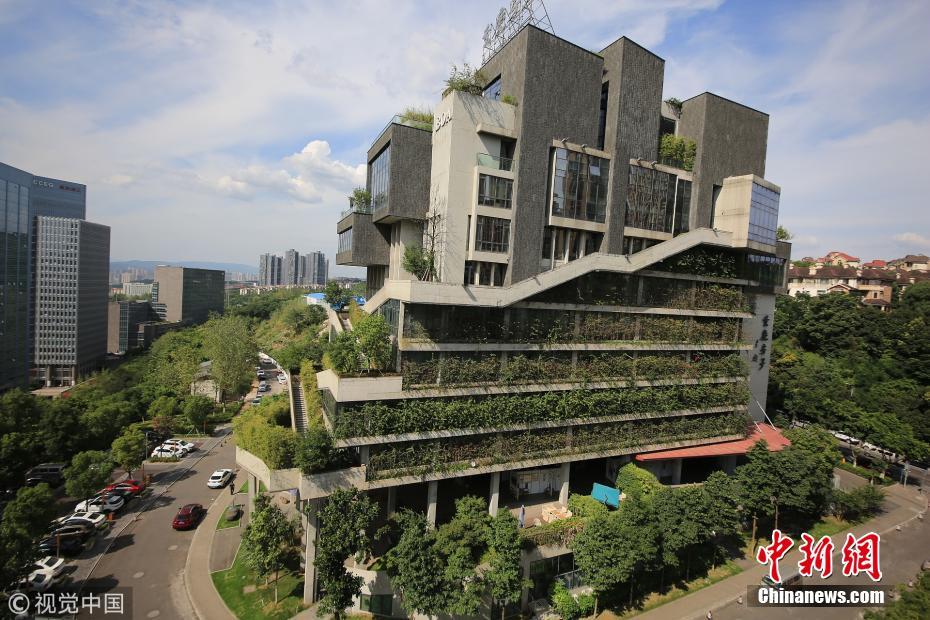 重庆建筑穿上植被犹如水泥森林中的空中花园
