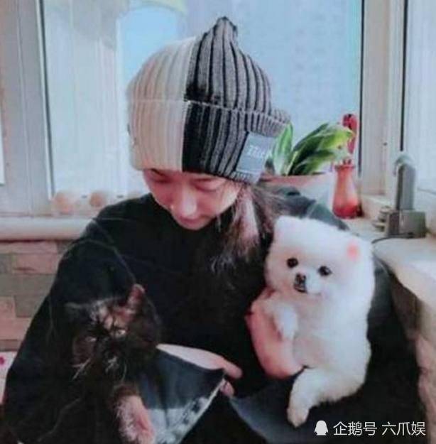 也有粉丝评论让关晓彤不要理会那些传闻，期待她与鹿晗的定情作。