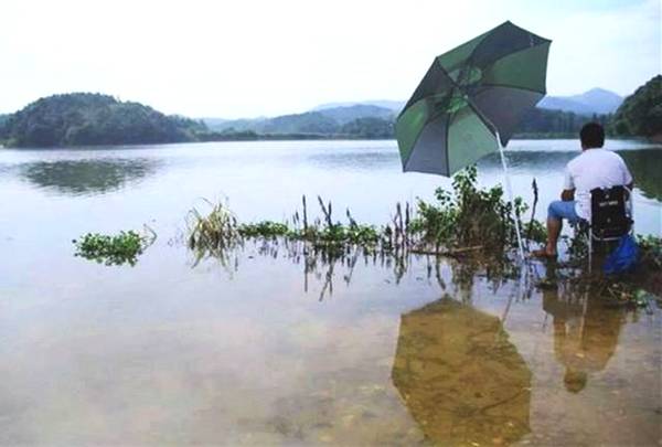 【秘制酒米窝料】