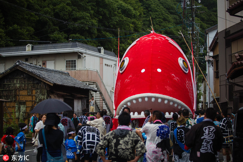 日本爱知县举办传统海鲷祭壮年扛巨型u201c鲷鱼u201d入海求丰收