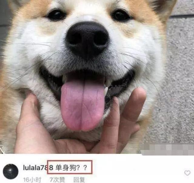 谁说这不是和在微博上说的“不想在机场等一艘船”，以及“下一程”一样暗示着什么呢？