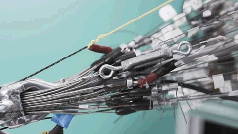 图：研究人员正在训练机械手臂（2倍速播放）