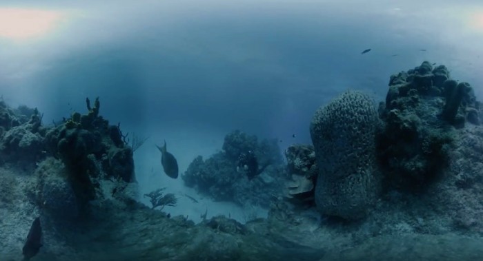 水下300米拍全景8K视频 VR相机让你看清海底世界