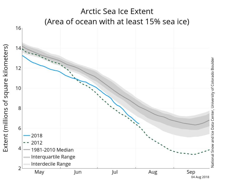 北极都32度了北极熊怎么办看完这篇文章你可以洗洗睡了