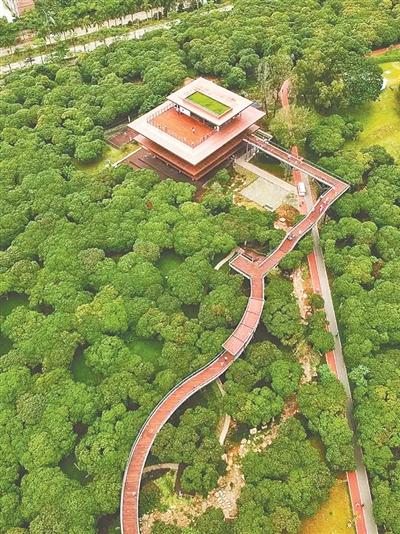 深圳“海绵型公园”香蜜公园