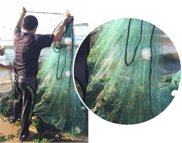 威海金海滩浴场两男子拖网捕鱼,鱼子鱼孙都不放过!说好的休渔期呢!