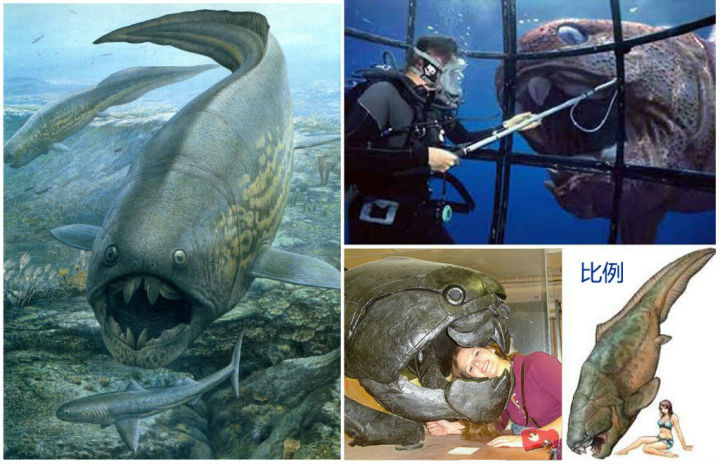 恐鱼。盾皮鱼纲、节颈鱼目的典型代表。可长达12米多，嘴张开时有1米多宽。