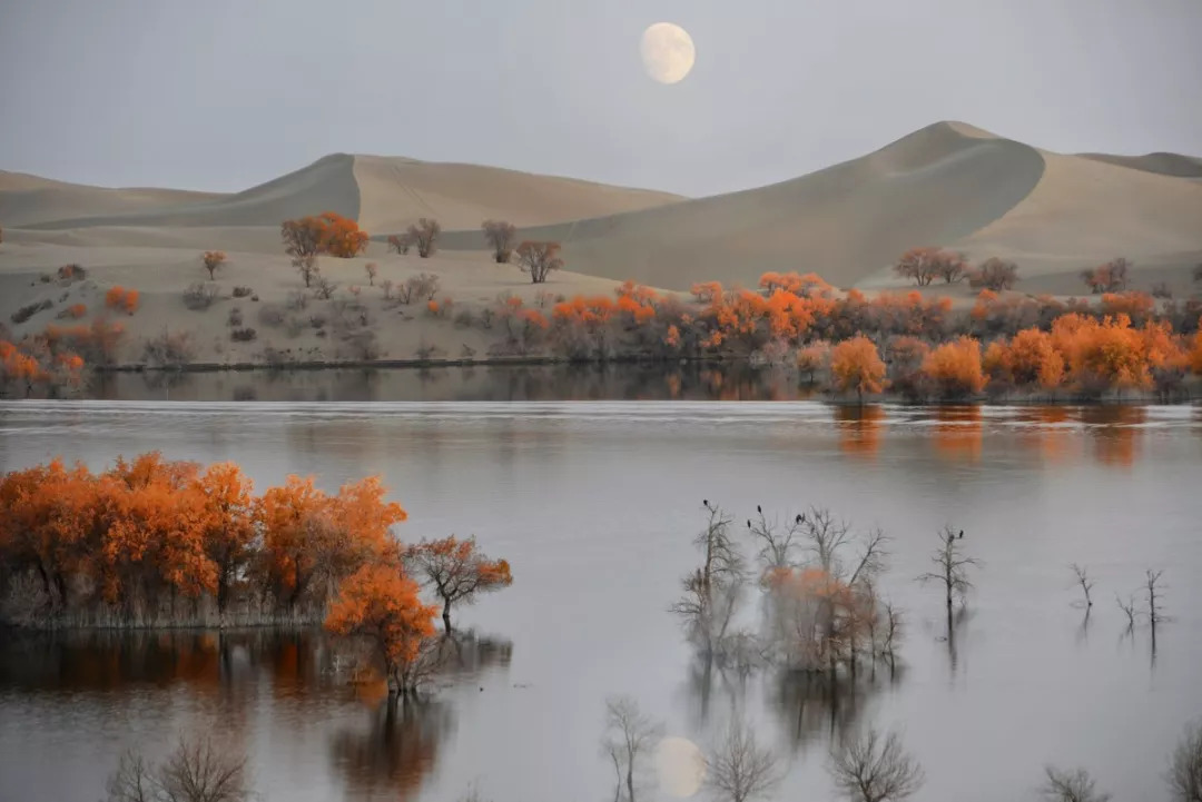 by 图虫九饼李占华