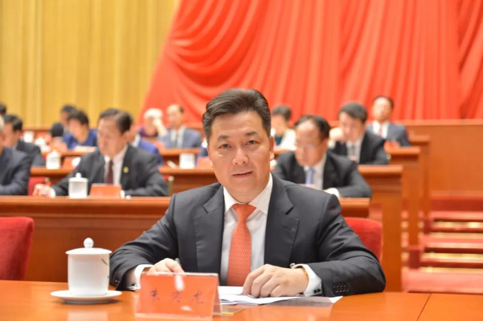 （朱奕龙先生参加第十次侨代会）