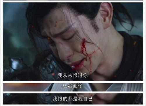 得到凤凰的原谅,锦觅也终于安心的去了。