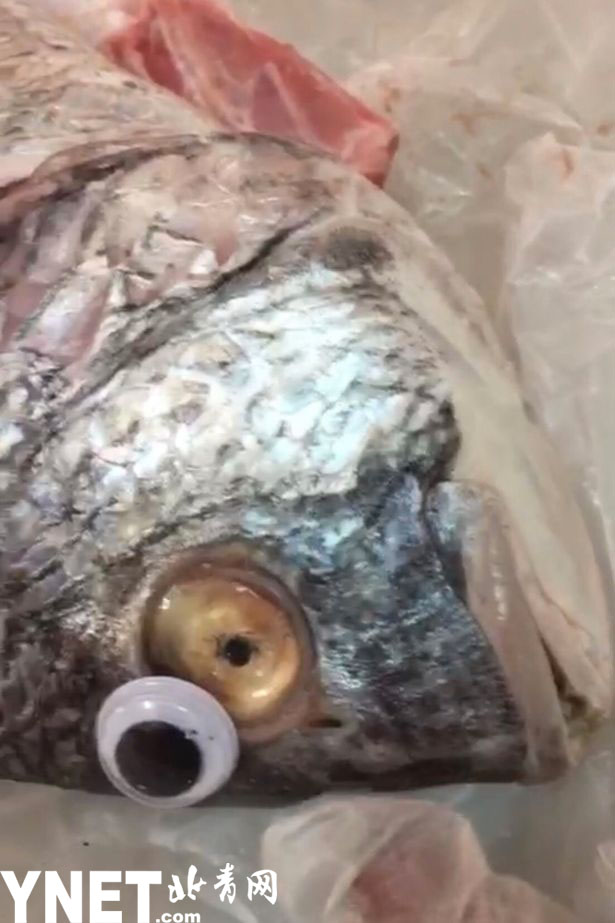 这些图像令人难以置信,一张照片甚至显示假鱼眼从鱼身上滑落,露出下面