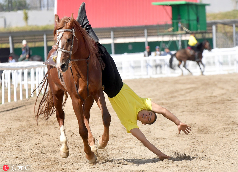 运动会有37个比赛项目,包括骑马,全国摔跤,武术,射箭,打猎等等