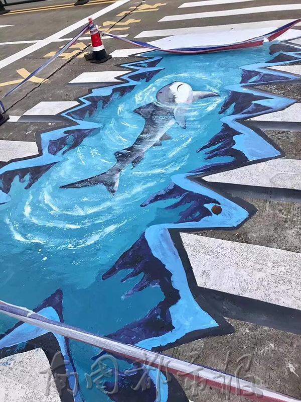 还有海豚↓↓↓