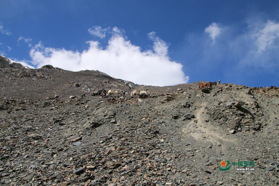 16 我行走在边防线上 休息时就仰望祖国的壮美河山