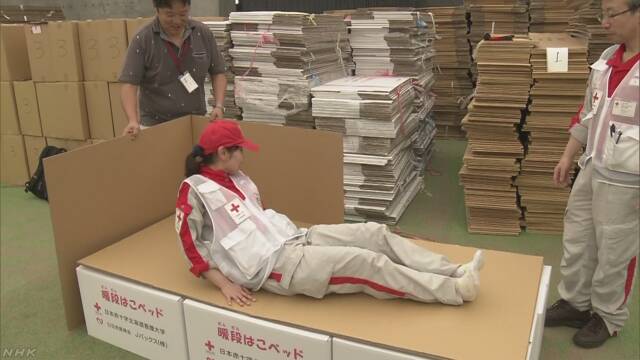 数百纸箱床运抵日本北海道地震灾区避难所