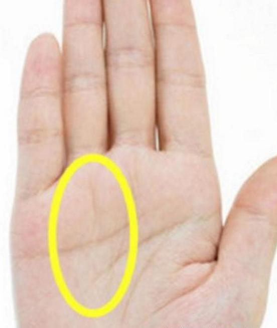 十指圆润，一根根犹如葱白一样，即使不白，只要圆，就代表家业丰厚，不愁衣食