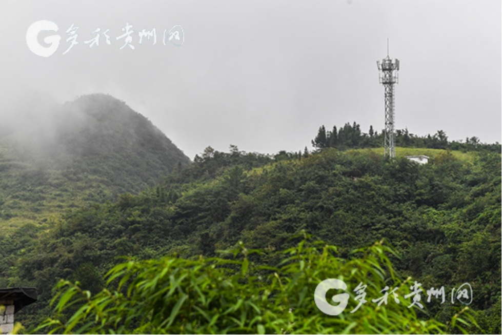 新站镇捷阵村，多彩贵州网协调帮建的通讯基站，解决了村里人打不出电话的窘境