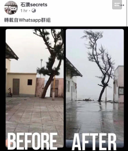 相信不少没有去过此地打卡的影迷都会感到十分遗憾吧……