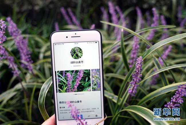 植物园里体验"拍照识花"(组图)