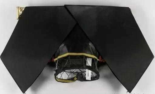 恒馨这张民国时期的照片里面，旗头已经达到了一种不协调的大小