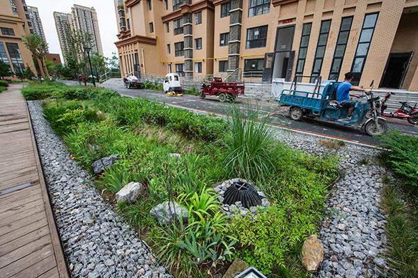 陕西西咸新区海绵城市样板一座透水的城人均绿地21㎡