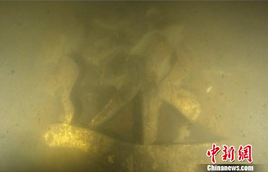 辽宁大连庄河海域发现甲午海战沉舰经远舰