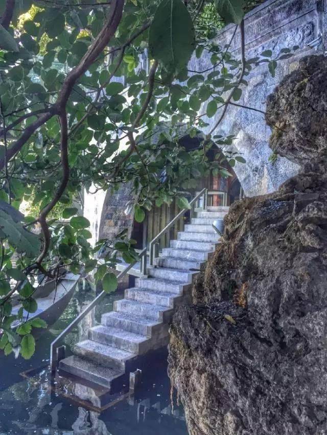 杨丽萍的 太阳宫 被查封 反腐达人 鲁豫是大功臣吗 谁被鲁豫采访谁倒霉