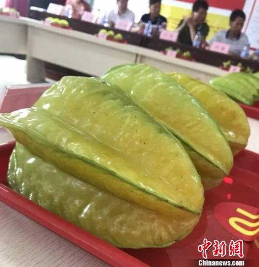 广东麻榨镇一个杨桃最高拍卖出18万元人民币