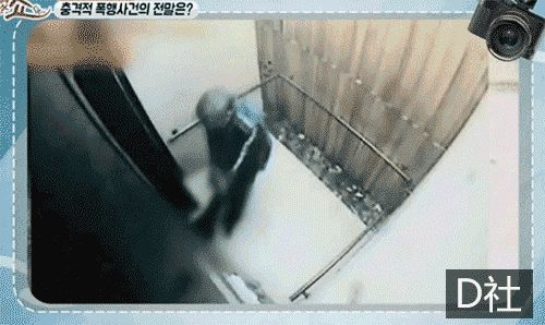 （图片来源：D社）