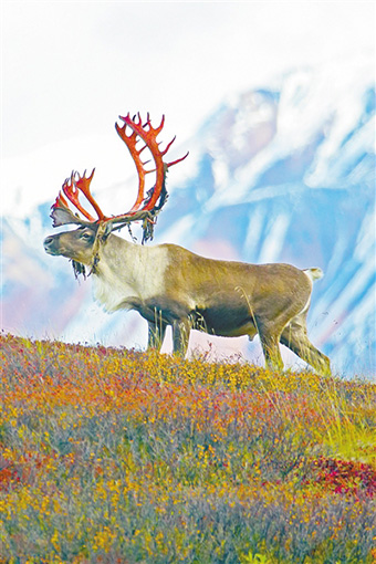 图片来源：网络