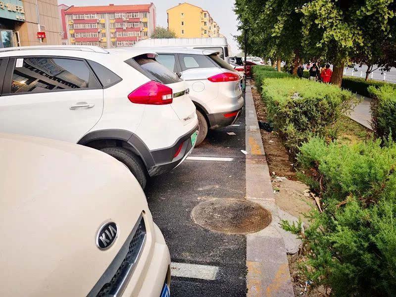 车位旁的绿化带